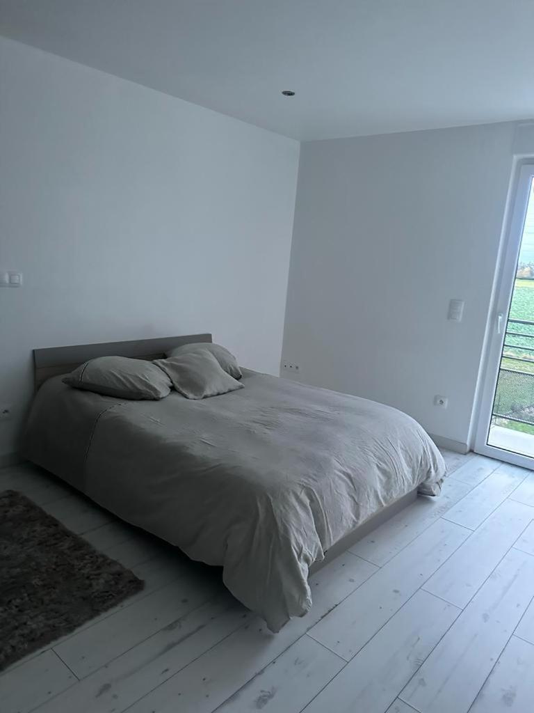 Residence Foch Lingolsheim Bagian luar foto